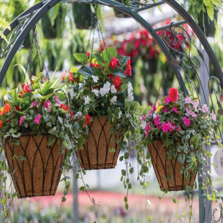 Austram Metal Outdoor Hanging Planter Wayfair Canada